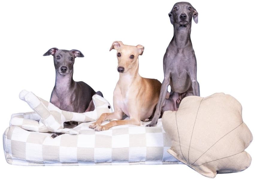 Seashell Toy, view: 2