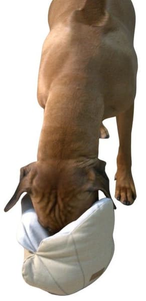 Seashell Toy, view: 1