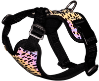 Paikka Harness 2.0 - view: 1