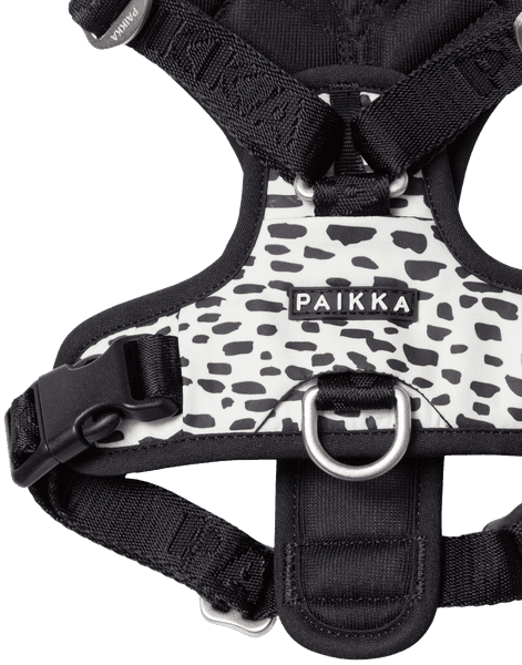 Paikka Harness 2.0, view: 2