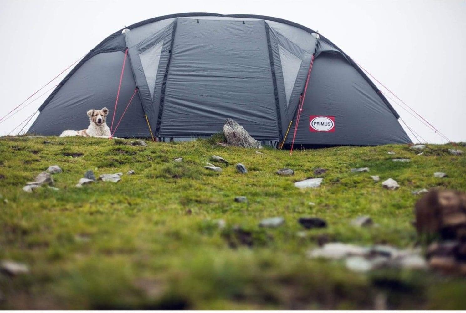 Bifrost H4 4P-telt, view: 1