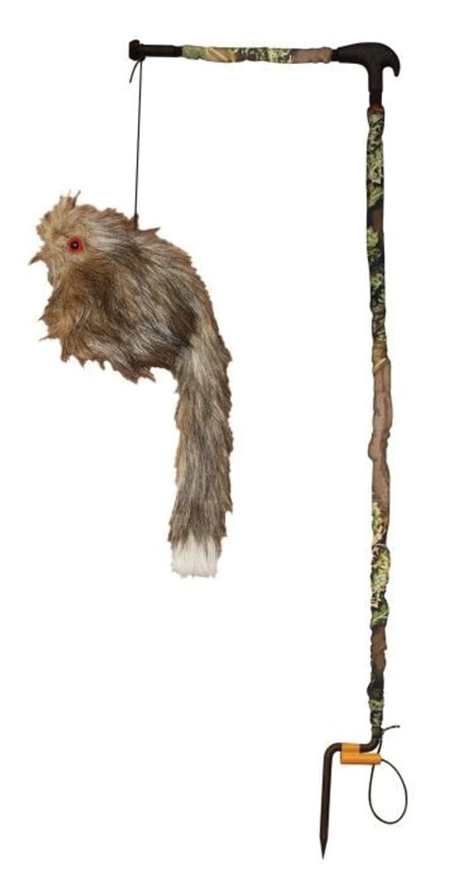 Wooly Bully, view: 0