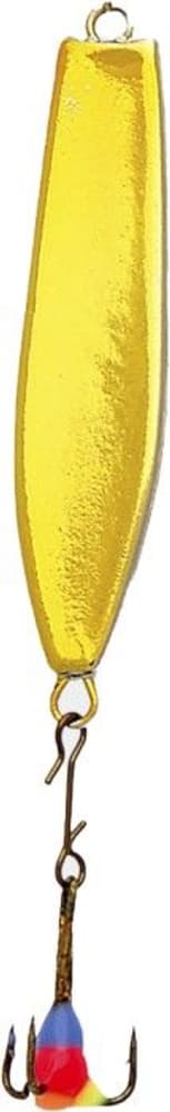 IFISH Hedlund 35mm, view: 2