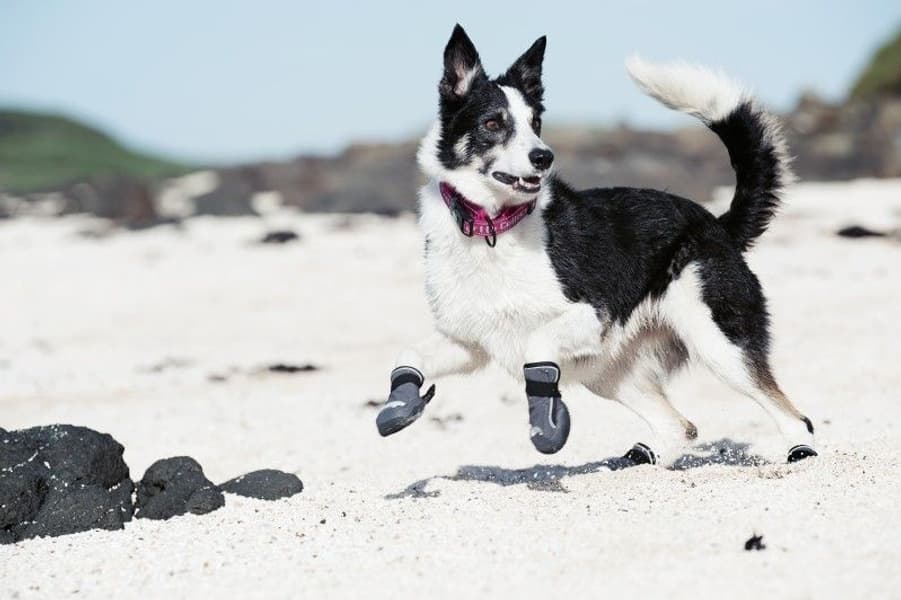 Outback Hundsko, view: 2