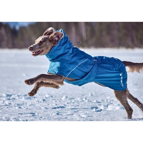 Extreme Warmer III Eco 55-65 cm Bilberry, view: 1