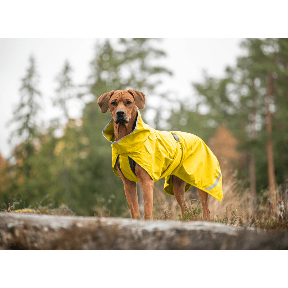 Kuori 44-48 cm Lemonade, view: 1