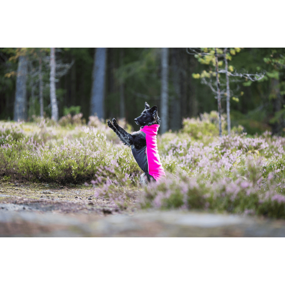 Jumppa 52-56 cm Pink, view: 3