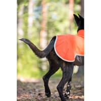 Sportti 37-40 cm Habanero - view: 3