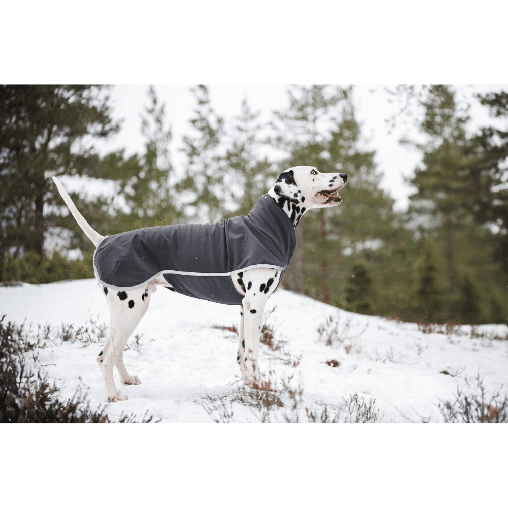 Sportti 37-40 cm Graphite, view: 2