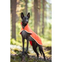 Sportti 60-65 cm Habanero - view: 1