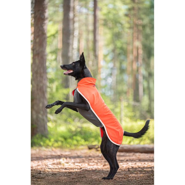 Sportti 60-65 cm Habanero, view: 2