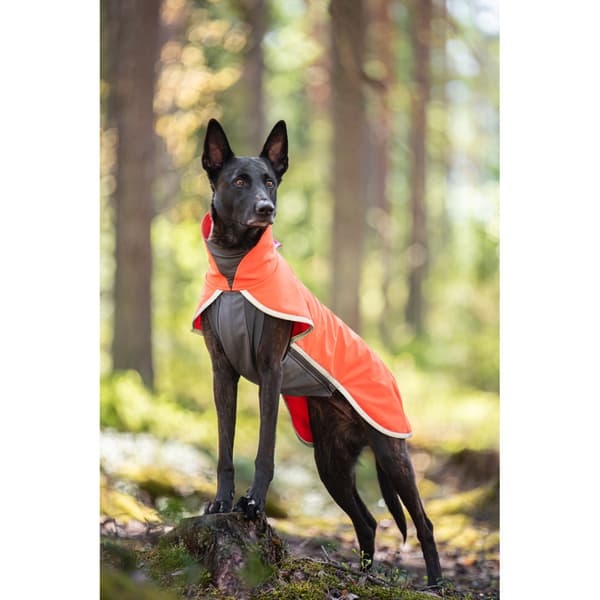 Sportti 52-56 cm Habanero, view: 1