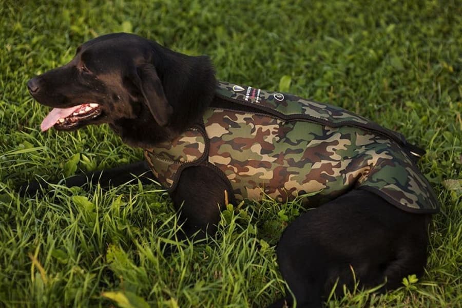 Dogtech Retriever Camo, view: 2