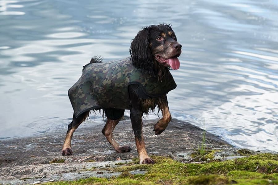 Dogtech Retriever Camo, view: 1