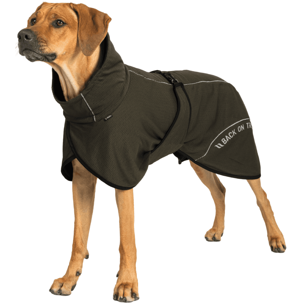 Bay Mesh Coat Low Set Tail 40-50 cm Olive, view: 1
