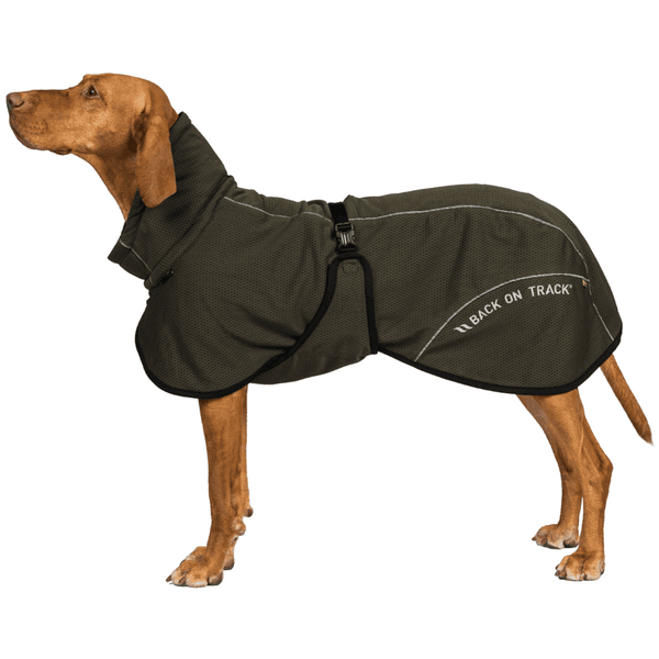 Bay Mesh Coat Low Set Tail 30-35 cm Olive, view: 2