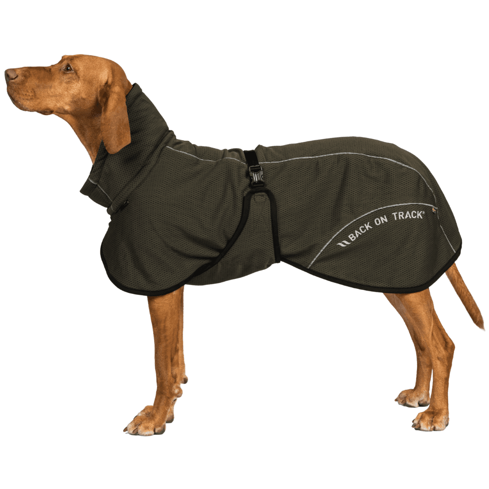 Bay Mesh Coat Low Set Tail 70-80 cm Olive, view: 2