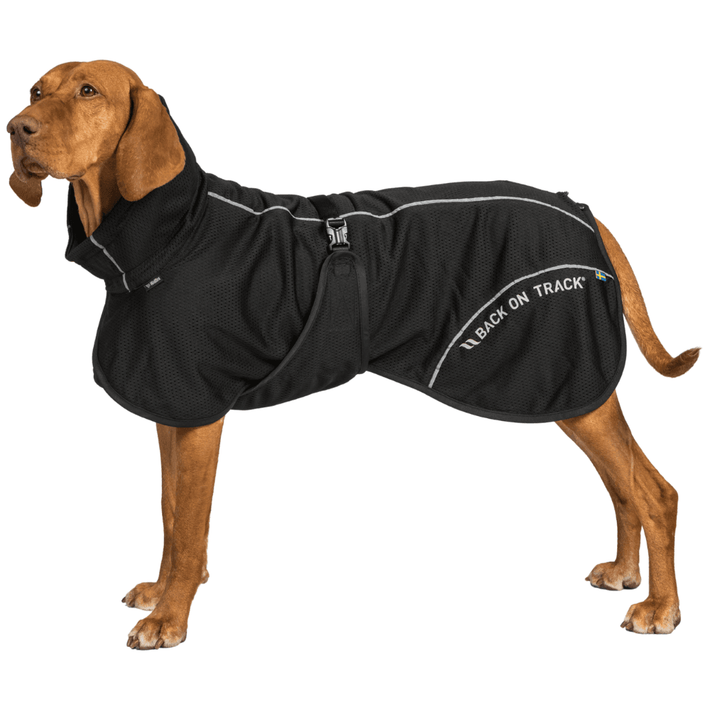 Bay Mesh Coat High Set Tail 40-50 cm Black, view: 1