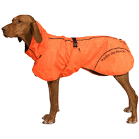 Bay Rain Coat High Set Tail 70-75 cm Orange - view: 1
