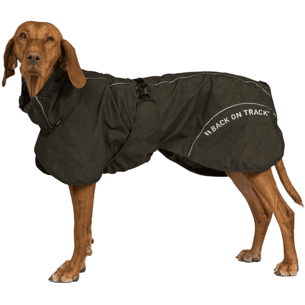 Bay Rain Coat High Set Tail 70-75 cm Olive, view: 1