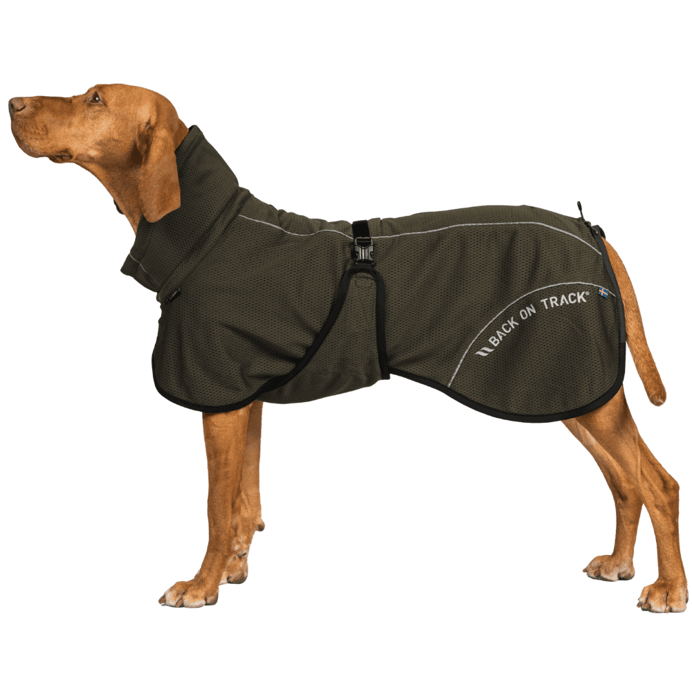 Bay Mesh Coat High Set Tail 55-65 cm Olive, view: 1