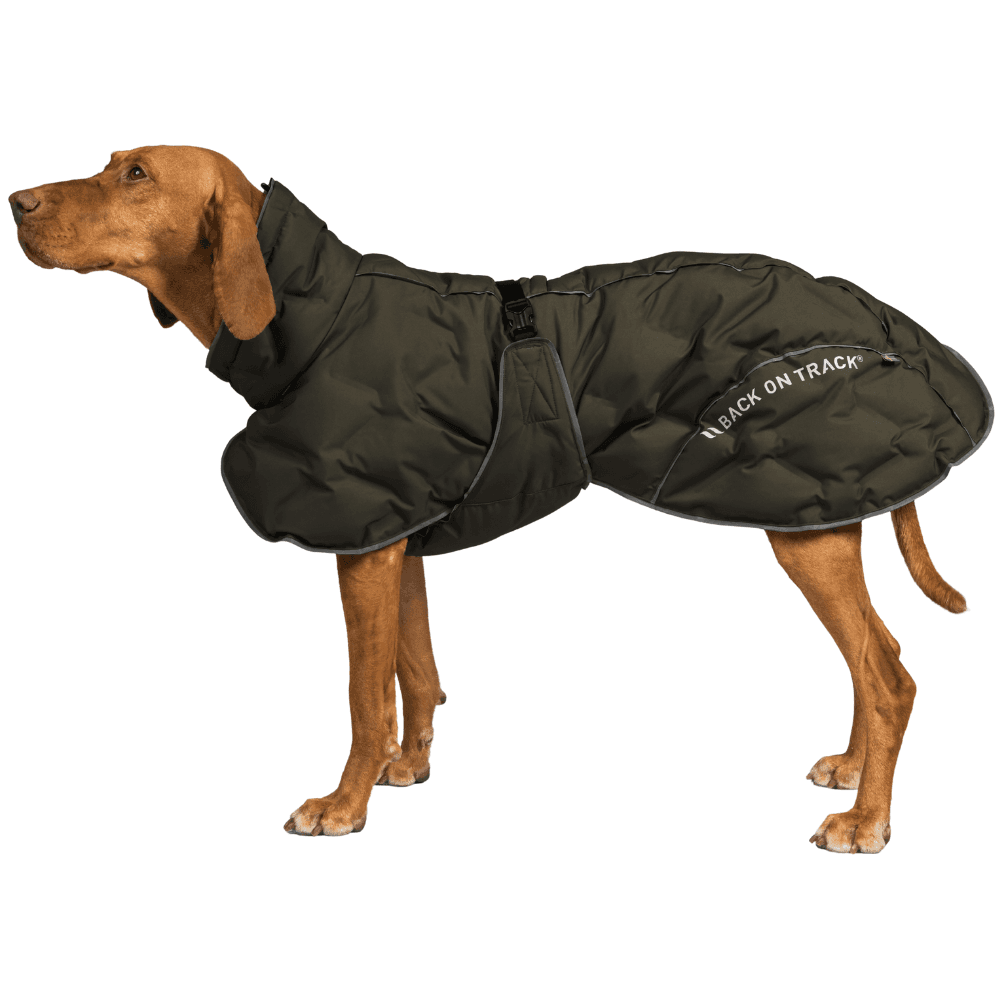Bay Padded Coat Low Set Tail 55-65 cm Olive, view: 1
