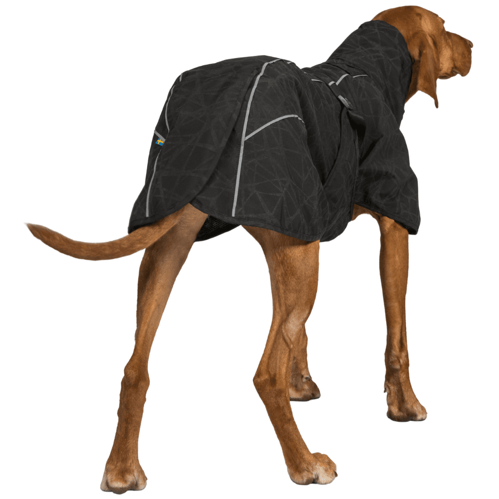 Bay Rain Shell Coat Low Set Tail 70-80 cm Black, view: 2