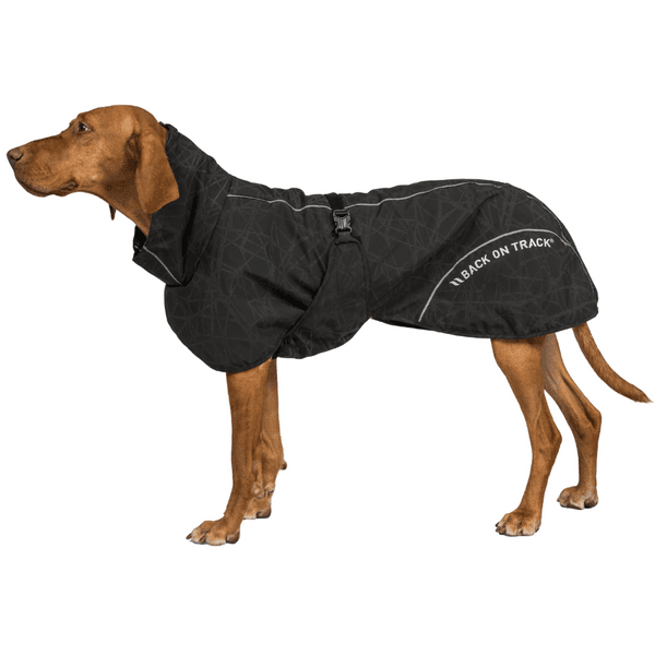 Bay Rain Shell Coat Low Set Tail 25–35 cm Black, view: 1