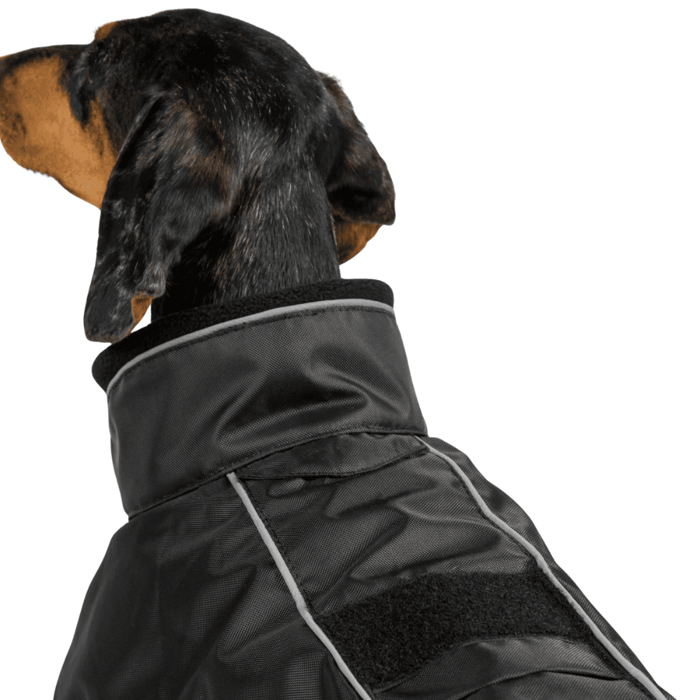 Buddy 2.0 Thermal Coat High Set Tail 28-44 cm Black, view: 1