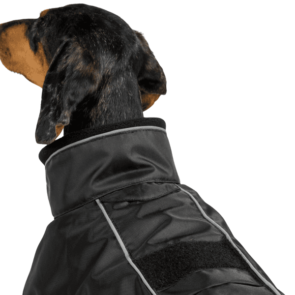Buddy 2.0 Thermal Coat High Set Tail 50-68 cm Black, view: 1