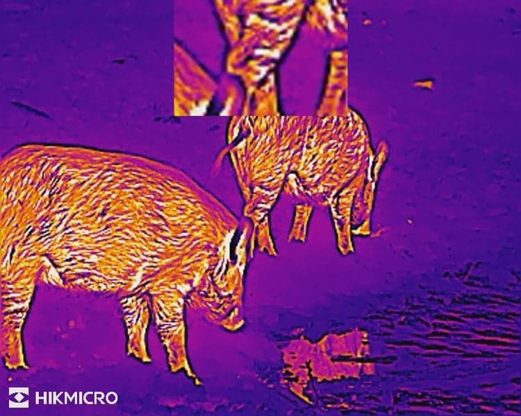 HIKMICRO Lynx LH15 2.0 Thermal Monocular, view: 7