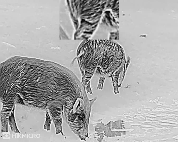 HIKMICRO Lynx LH19 2.0 Thermal Monocular, view: 9