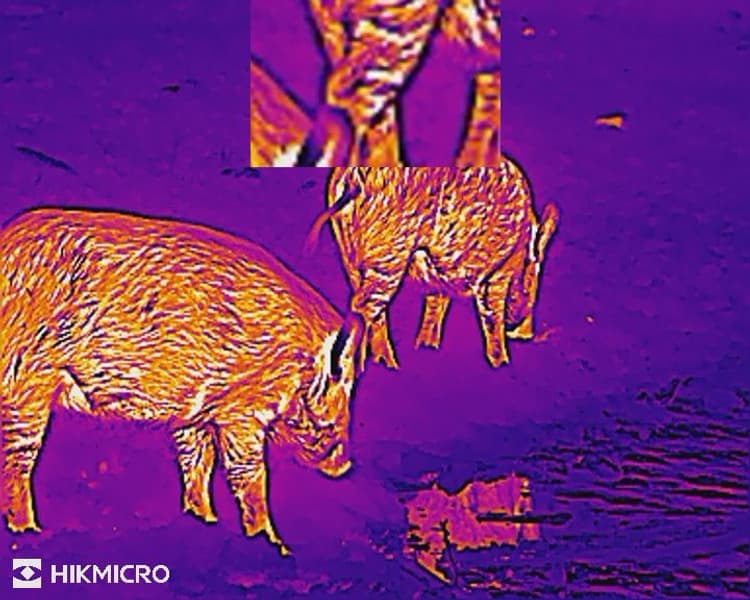 HIKMICRO Lynx LH19 2.0 Thermal Monocular, view: 8