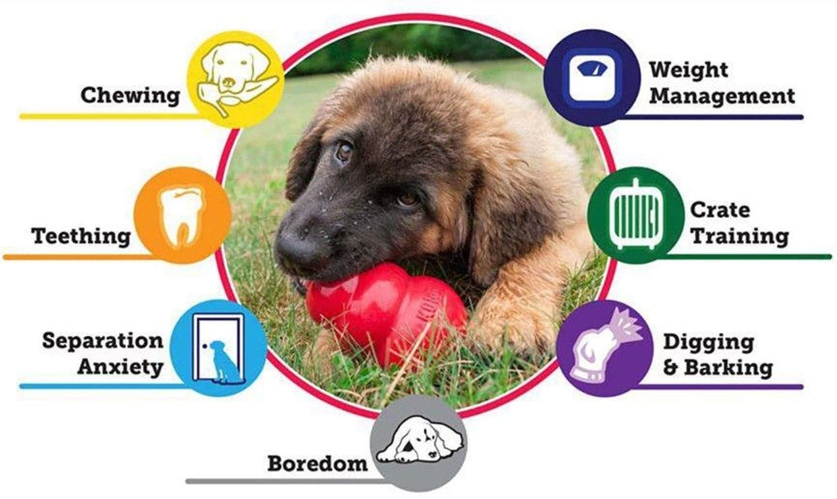 Puppy L Mix, view: 2