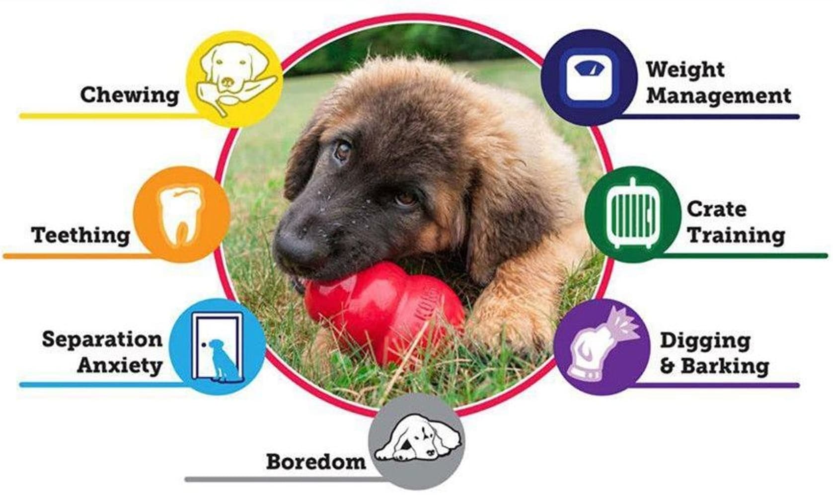 Puppy M Mix, view: 2