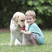 Classic Rød XXL - view: 3