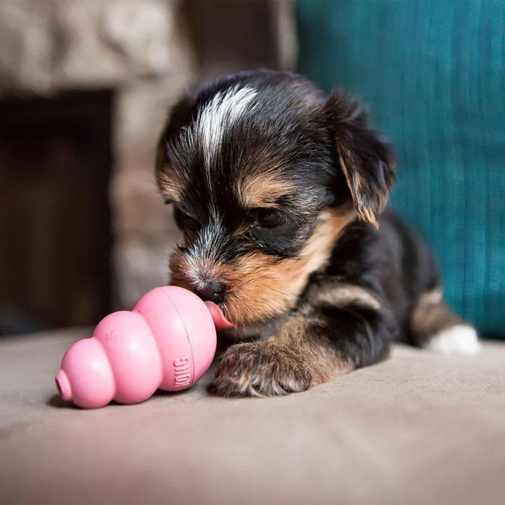 Puppy S Mix, view: 3