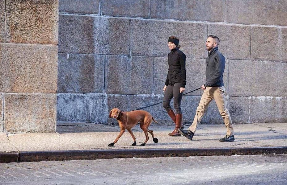 Dog Boots Black L, view: 7