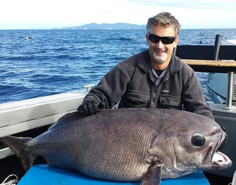 Back 40 Black, view: 5