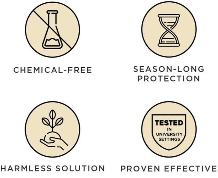 Active Green, view: 4