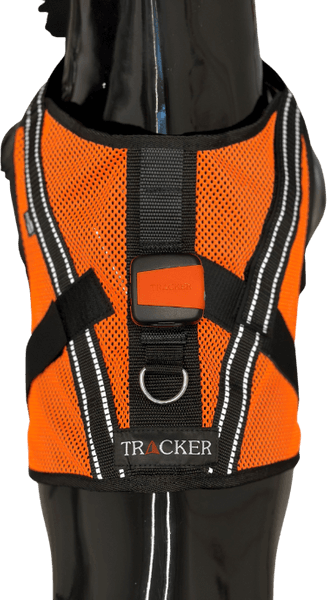 Hundväst Aira, view: 4