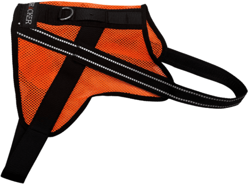 Hundväst Aira, view: 1