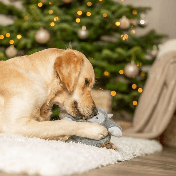 Xmas Yeti Plysch 20 cm, view: 2