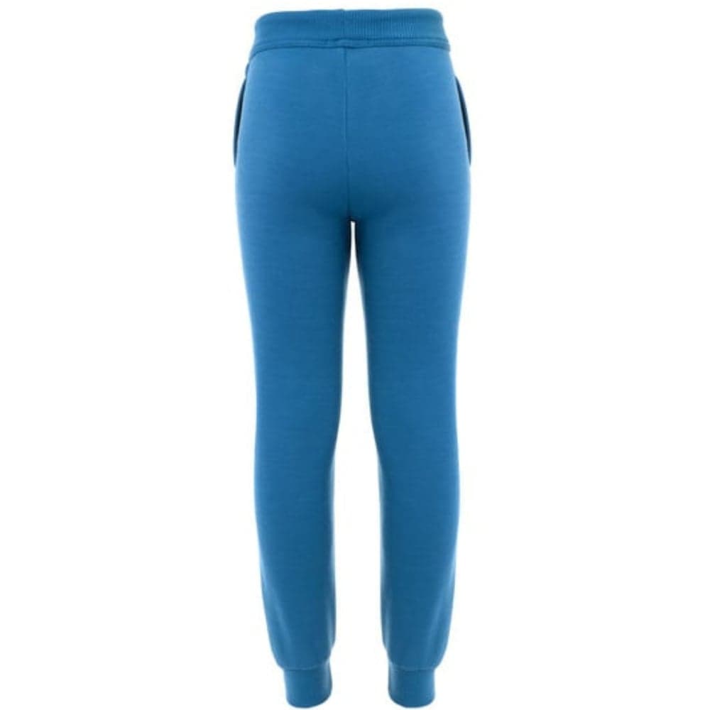 Fleecewool V2 Joggers Jr Junior Corsair, view: 1