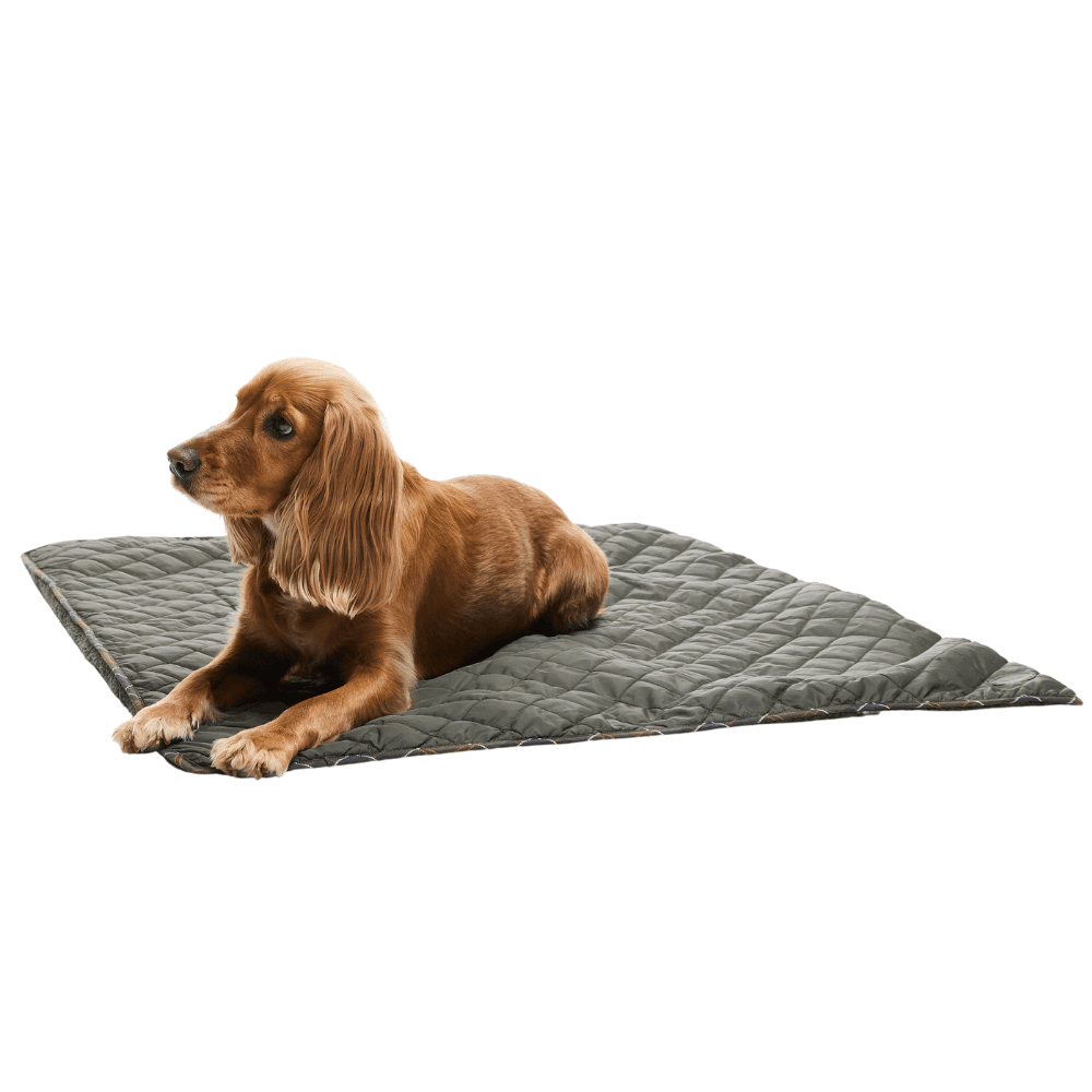 Hundefilt Quilt & Fleece Oliven, view: 4