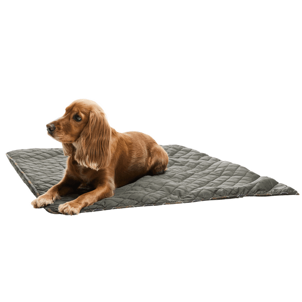 Hundefilt Quilt & Fleece Oliven, view: 4