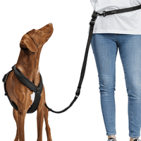 L-2-Jogging-Leash L Black - view: 3