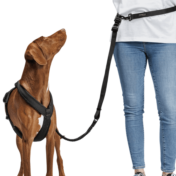 L-2-Jogging-Leash S Black, view: 3