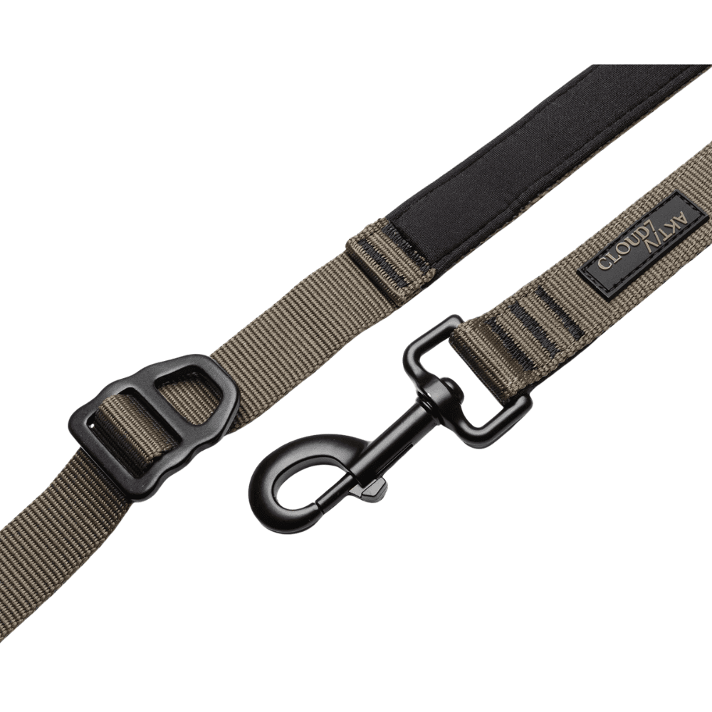 L-2-Jogging-Leash S Olive, view: 1
