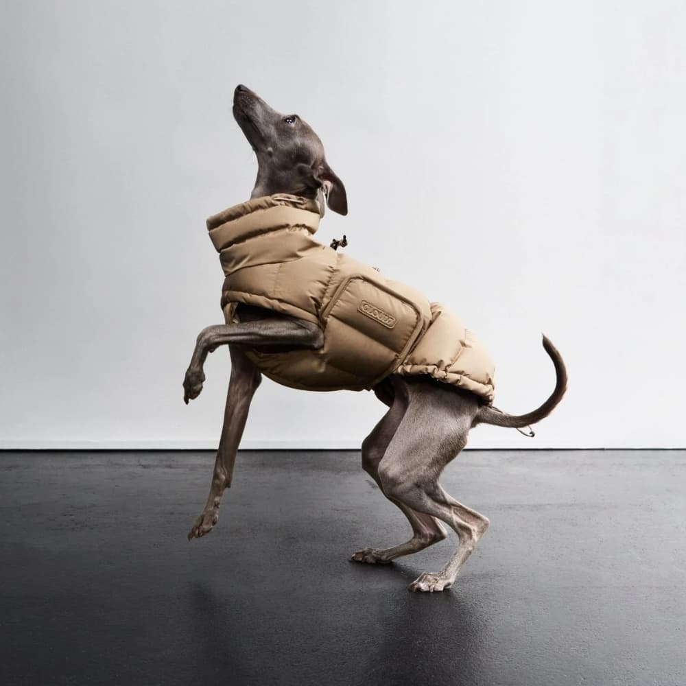 Alaska Winter Coat size 6 Sandy Brown, view: 2